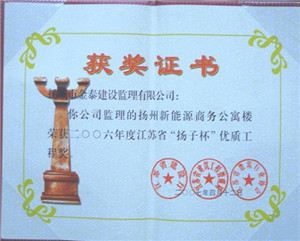 新能源商务公寓工程，2006年度江苏省“扬子杯”优质工程奖