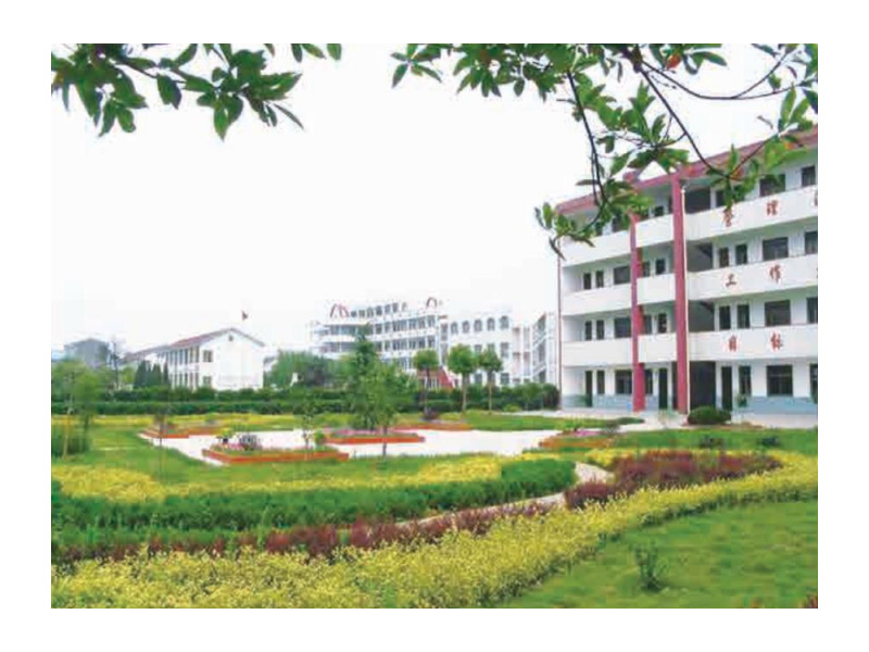 汊河学校